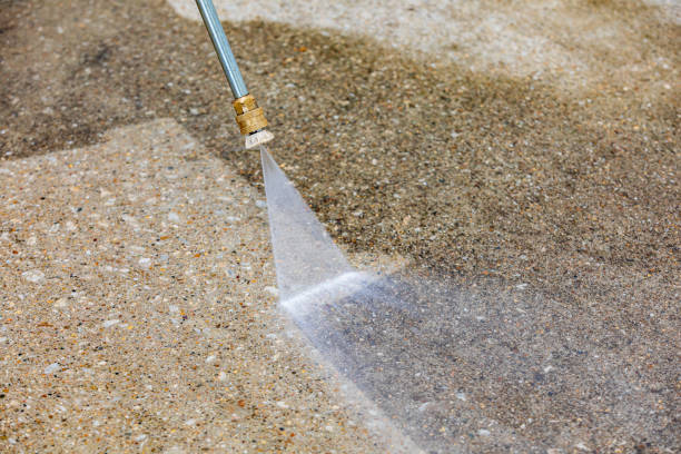 Animal Enclosure Cleaning in Gloucester Courthouse, VA